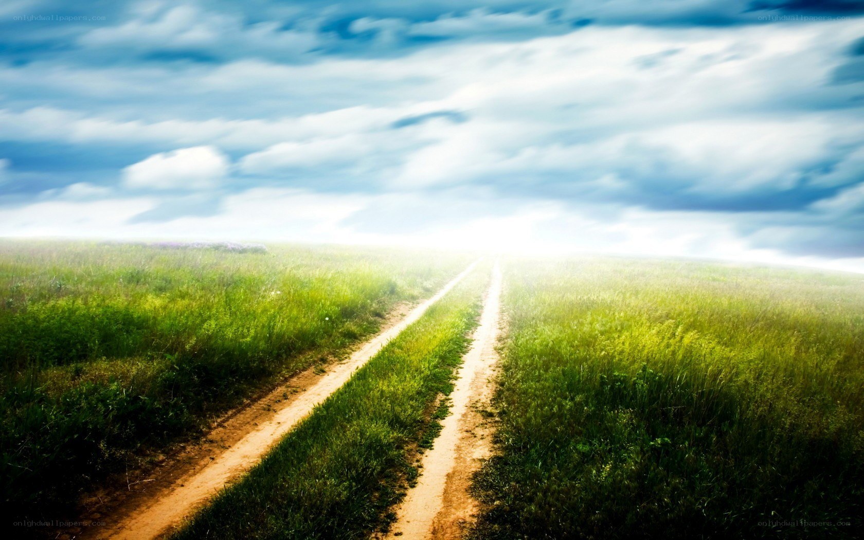 Dirt path through green fields
