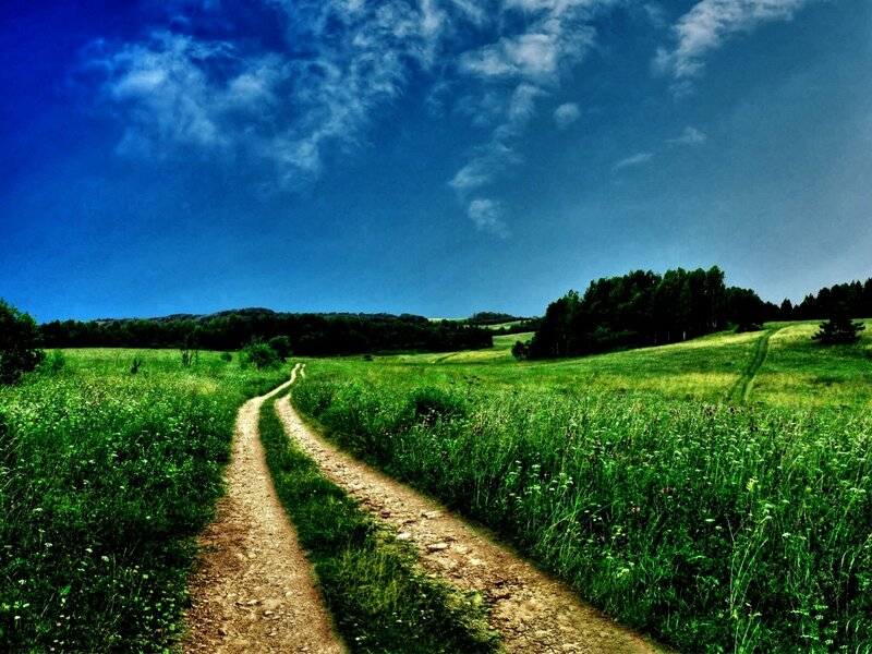 Dirt path through green fields