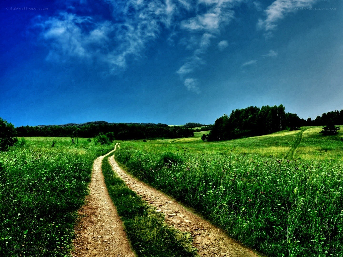 Dirt path through green fields