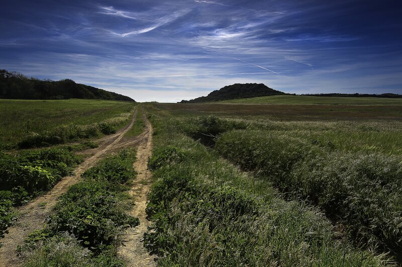 Dirt path through green fields