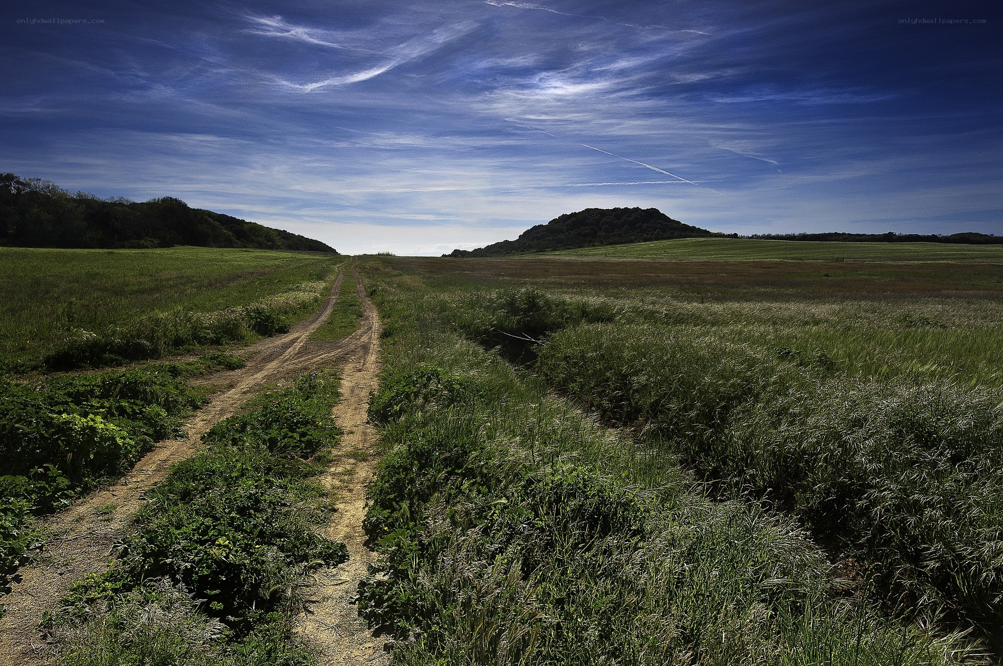 Dirt path through green fields