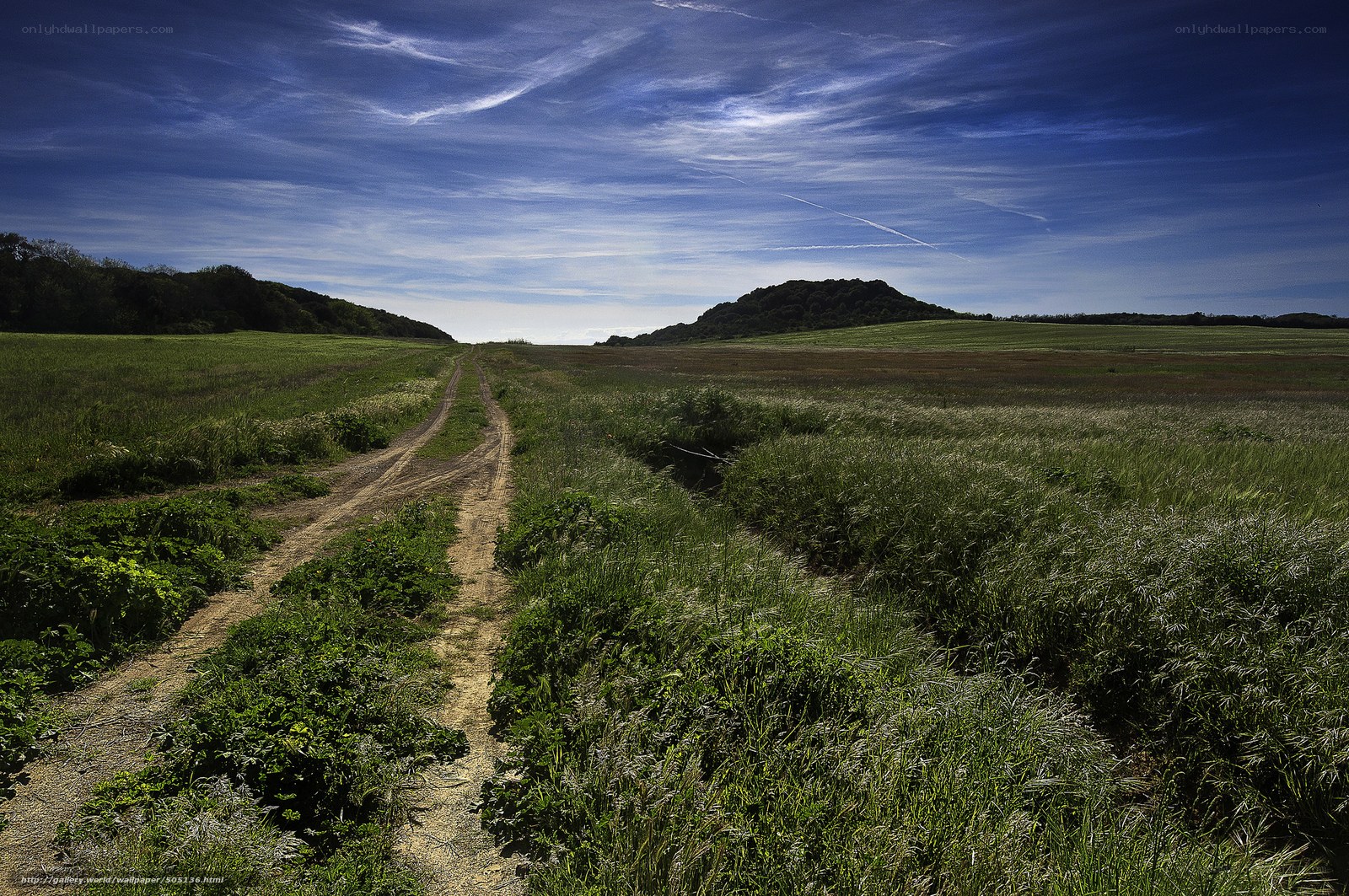 Dirt path through green fields
