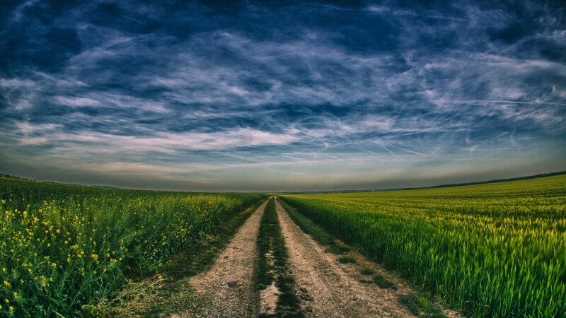 Dirt path through green fields