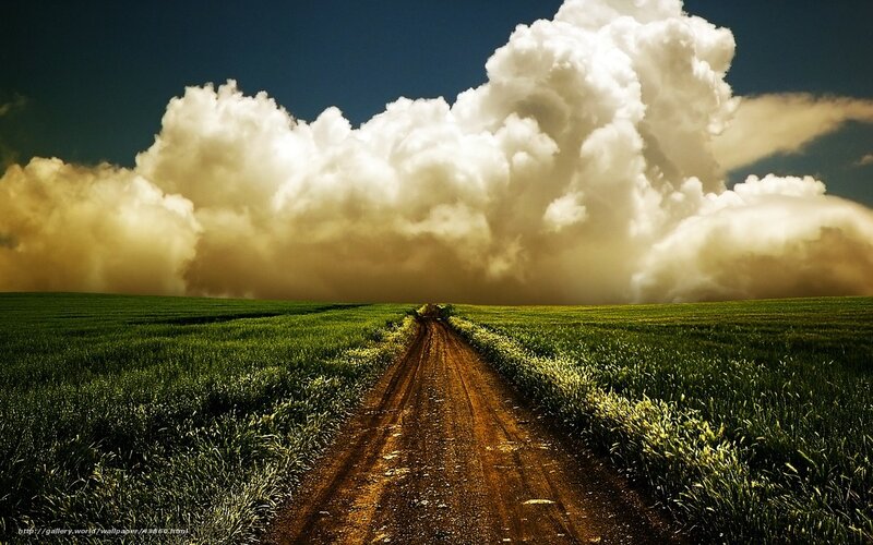 Dirt path through green fields