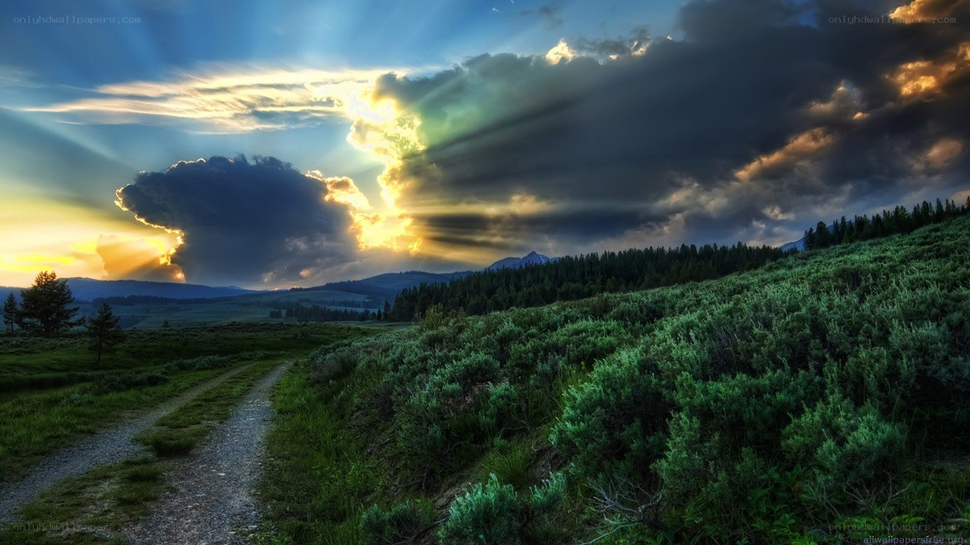dirt path through green hills