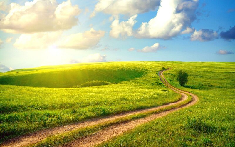 Dirt Path Through Green Hills — Serene, Afternoon