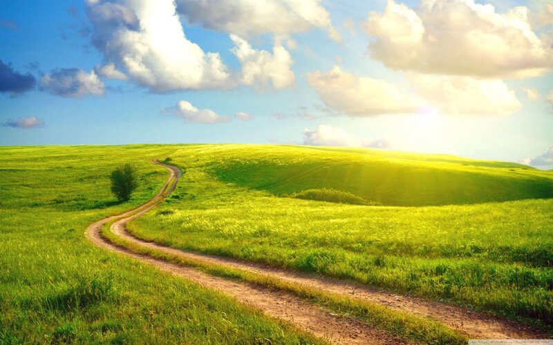 Dirt Path Through Green Hills — Serene