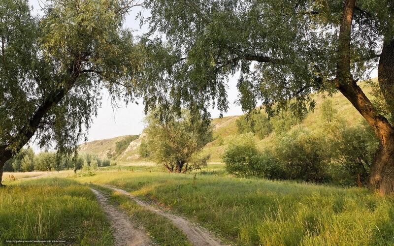 Dirt path through green valley