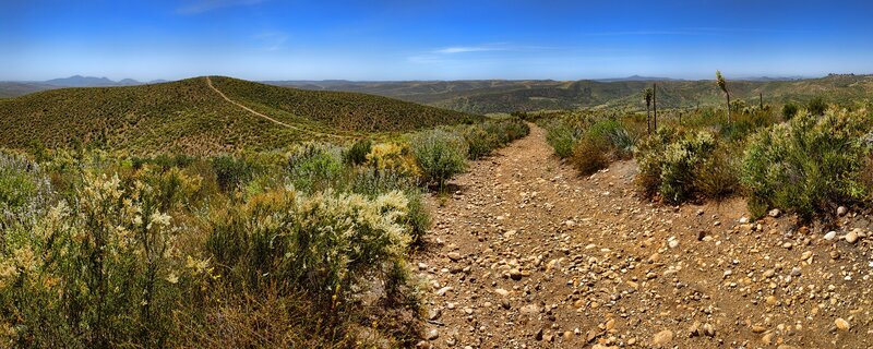 Dirt Path Through Hills — Brown