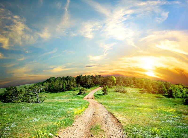 Dirt Path Through Meadow — Green, Serene