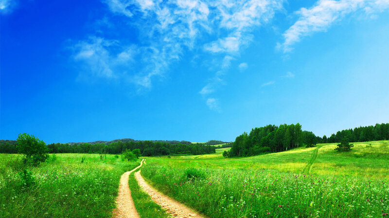 Dirt Path Through Meadow