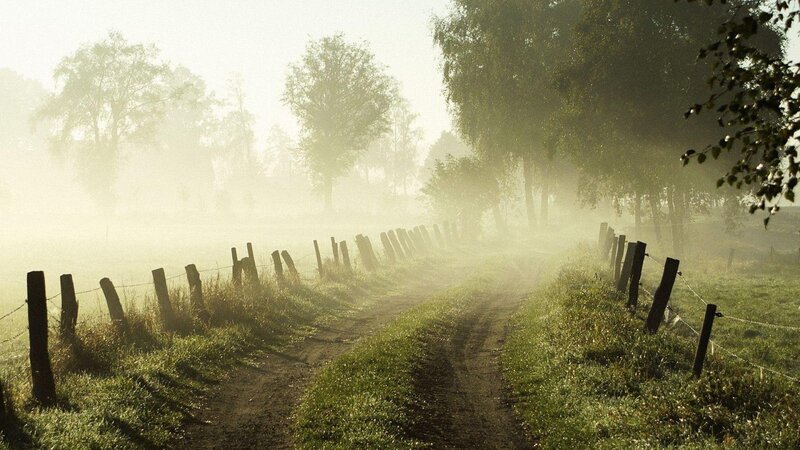 Dirt path through misty field
