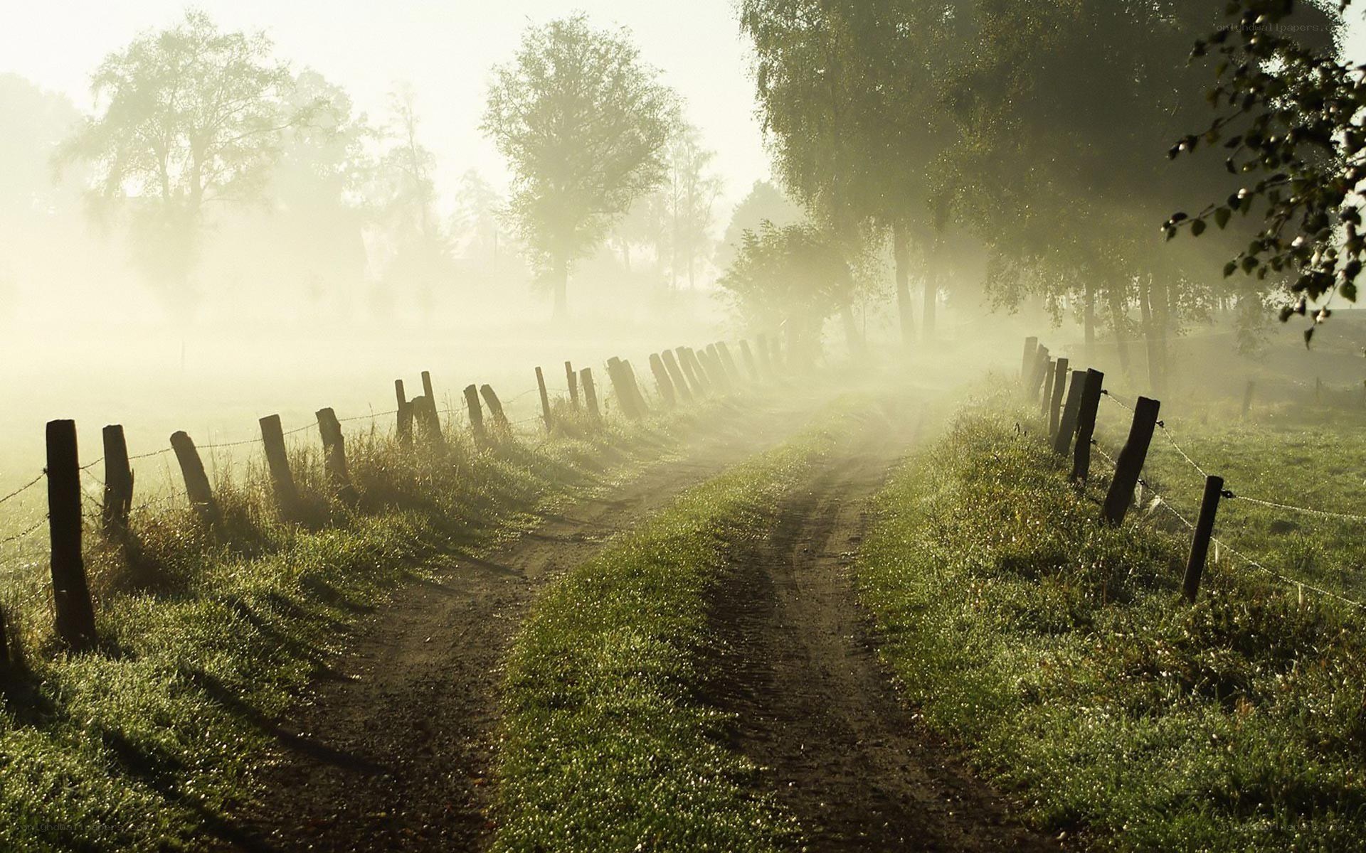 Dirt path through misty field