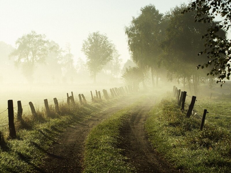 Dirt path through misty fields