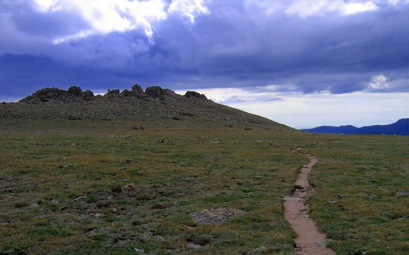 Dirt path through mountain meadow