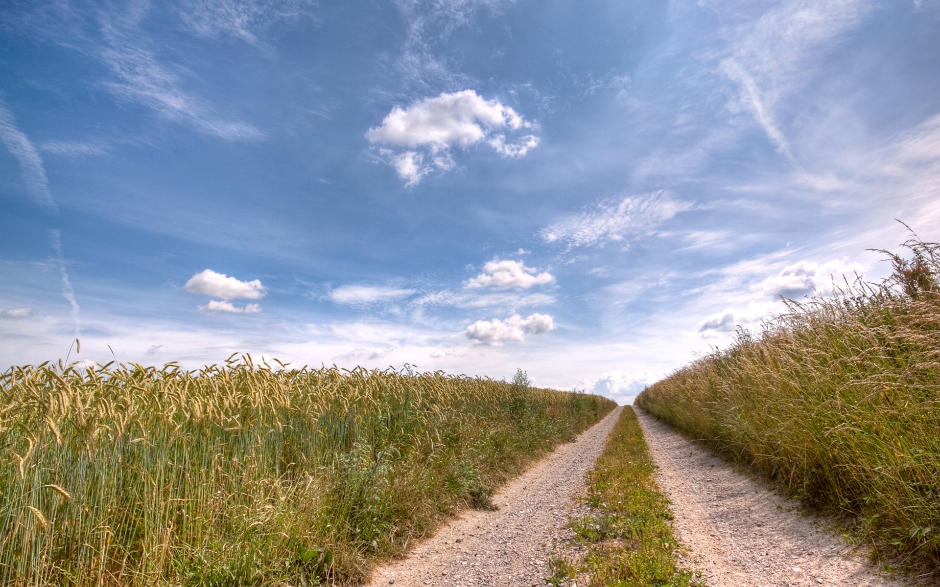 Dirt path through wheat fields
