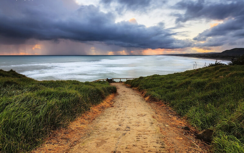 Dirt Path to Beach — Green