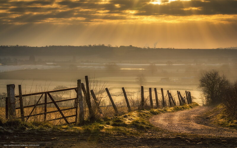 Dirt Path with Gate — Gold
