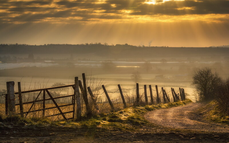 Dirt Path with Gate