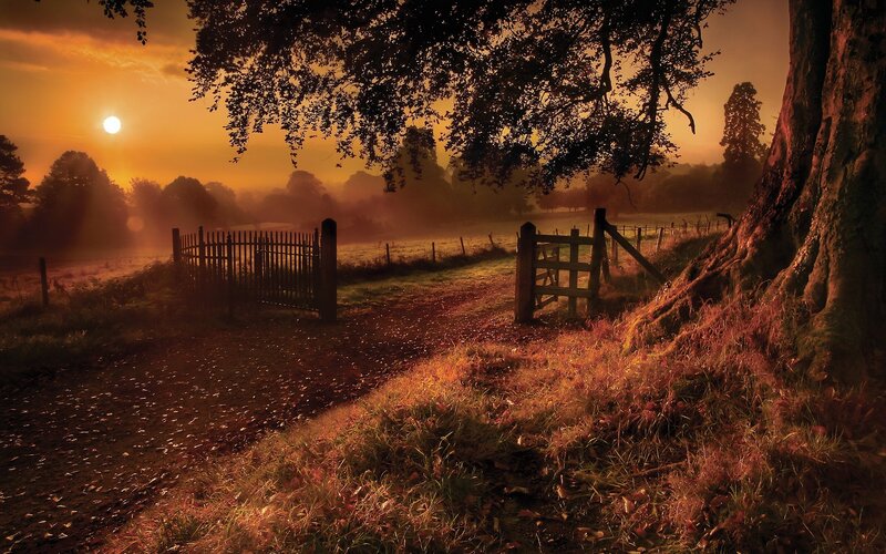 Dirt Path with Gates — Orange, Serene, Sunset, Photograph