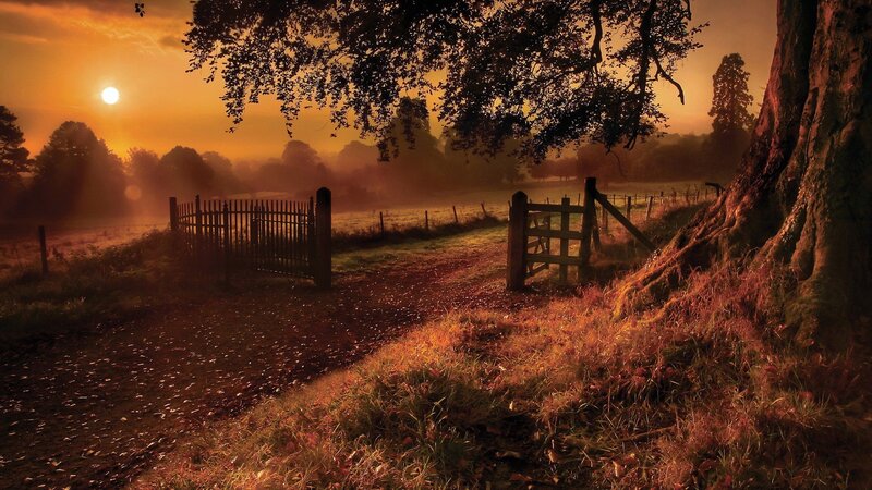 Dirt Path with Gates — Orange, Serene, Sunset, Photograph, Tree, Sun