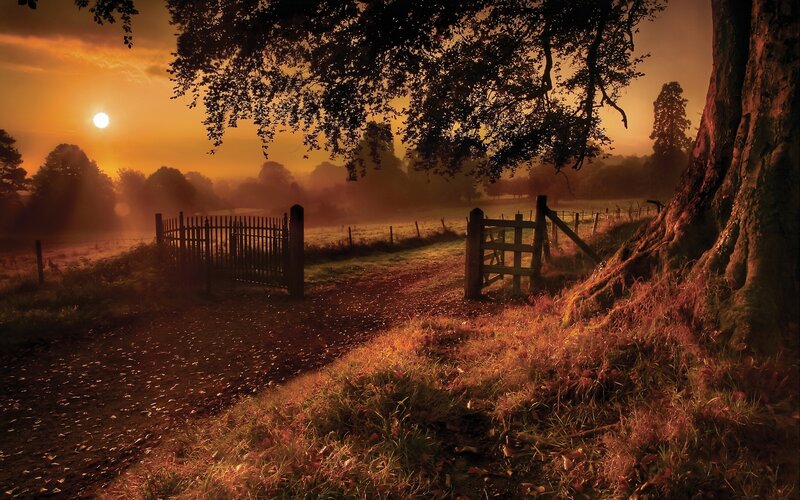 Dirt Path with Gates — Orange, Serene, Sunset