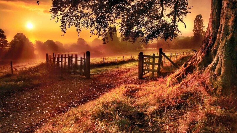 Dirt Path with Gates — Orange, Serene