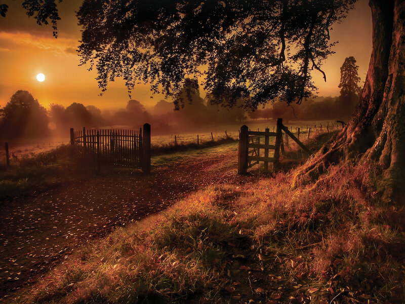 Dirt Path with Gates — Orange