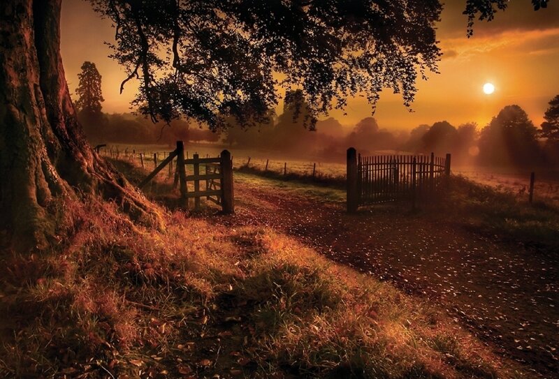 Dirt Path with Gates