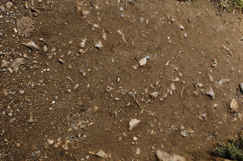 Dirt Path with Rocks
