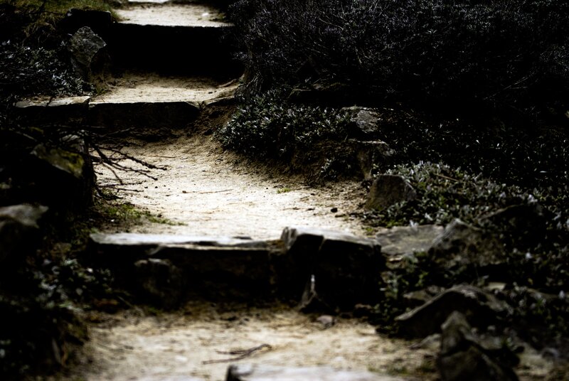 dirt path with stone steps
