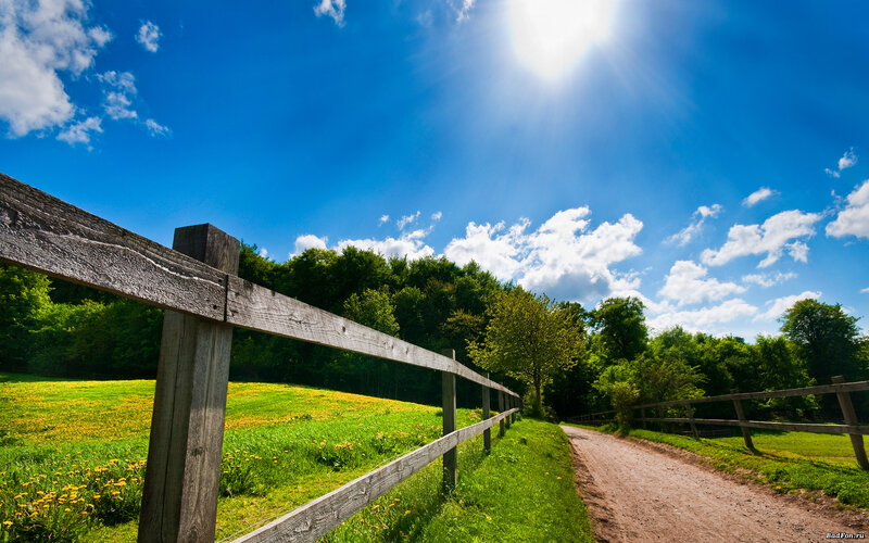 Dirt Path with Wooden Fence — Blue