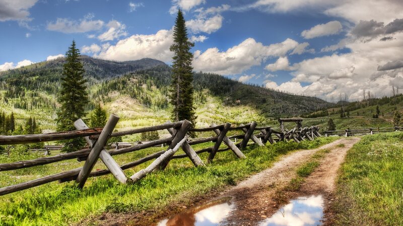 Dirt Path with Wooden Fence — Green, Serene, Afternoon, Photograph
