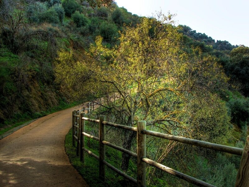 Dirt Path with Wooden Fence — Green, Serene, Afternoon, Photograph, Tree, Hillside