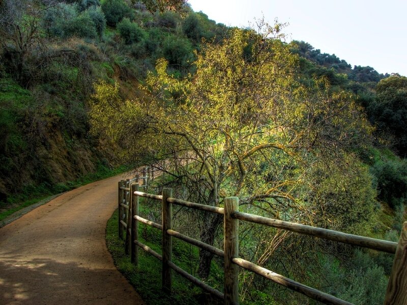 Dirt Path with Wooden Fence — Green, Serene, Afternoon, Photograph, Tree