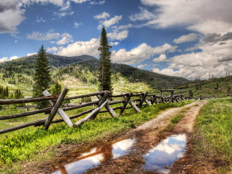 Dirt Path with Wooden Fence — Green