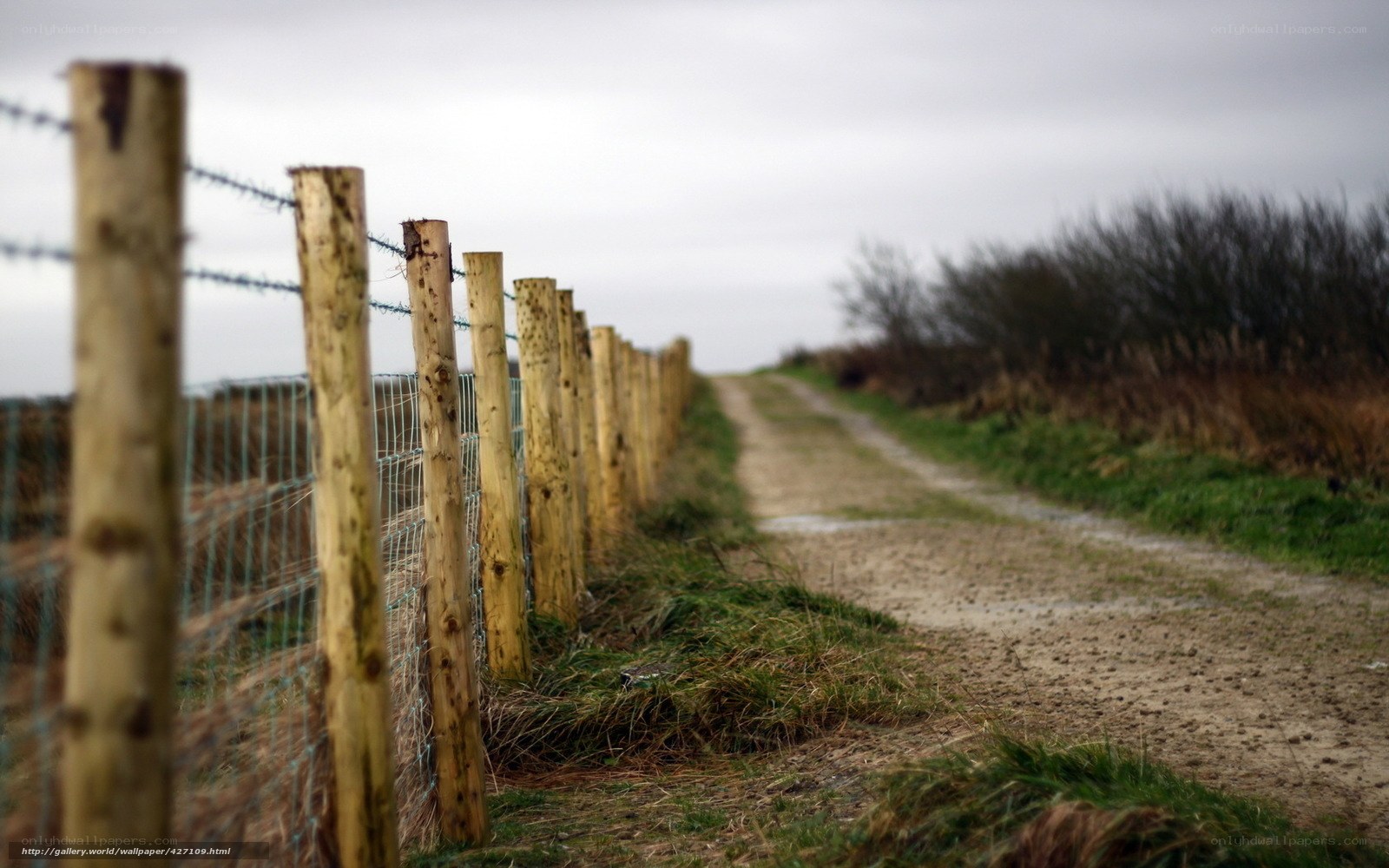 Dirt path with wooden fence