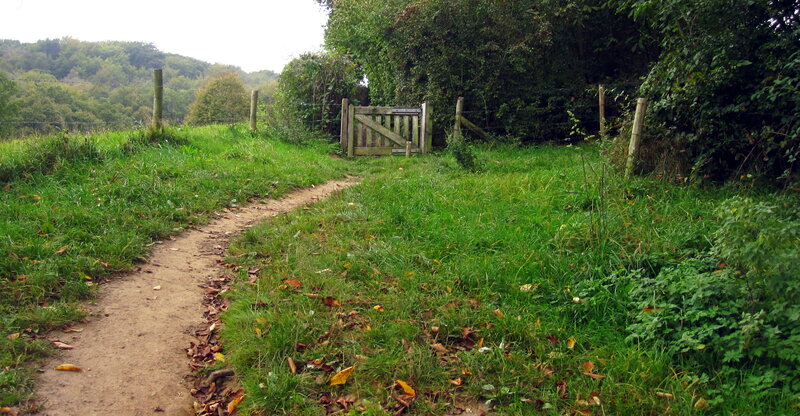 Dirt Path with Wooden Gate