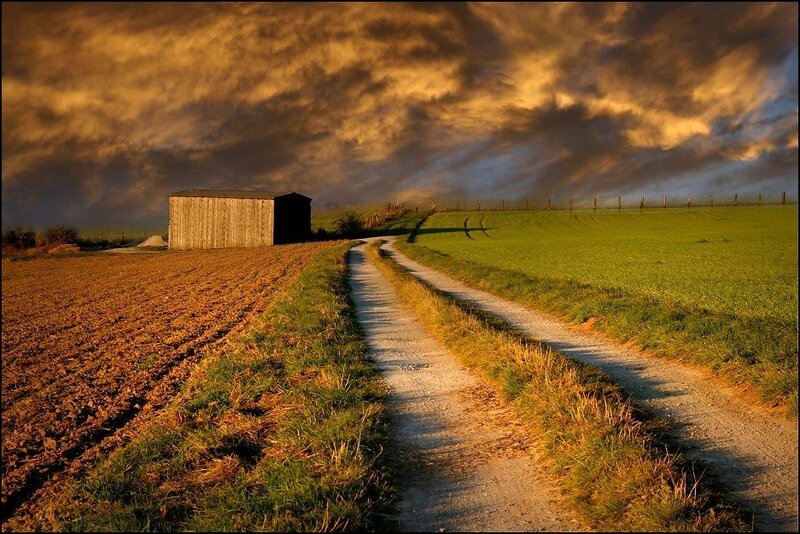 Dirt Road and Shed