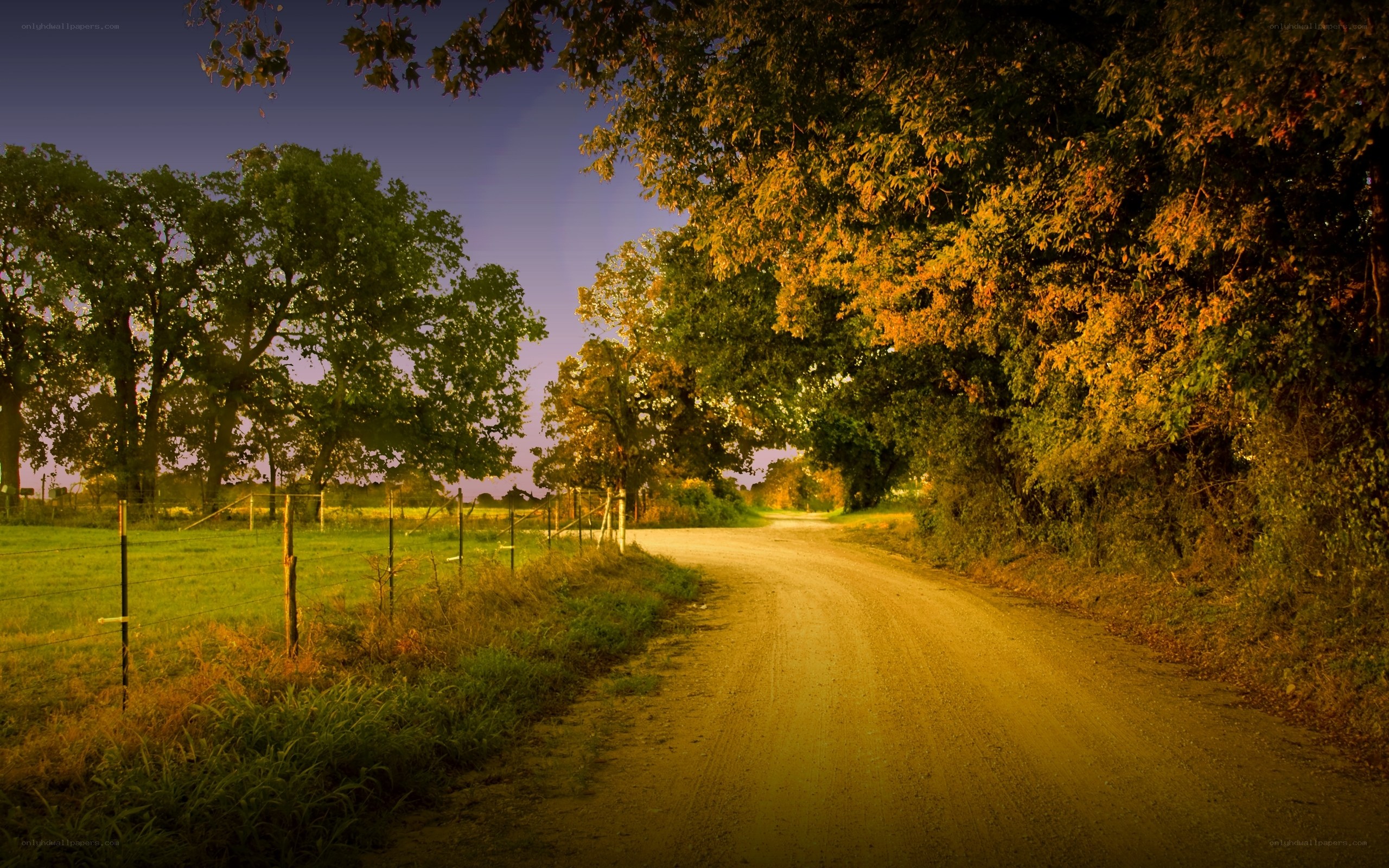 Dirt road at dusk