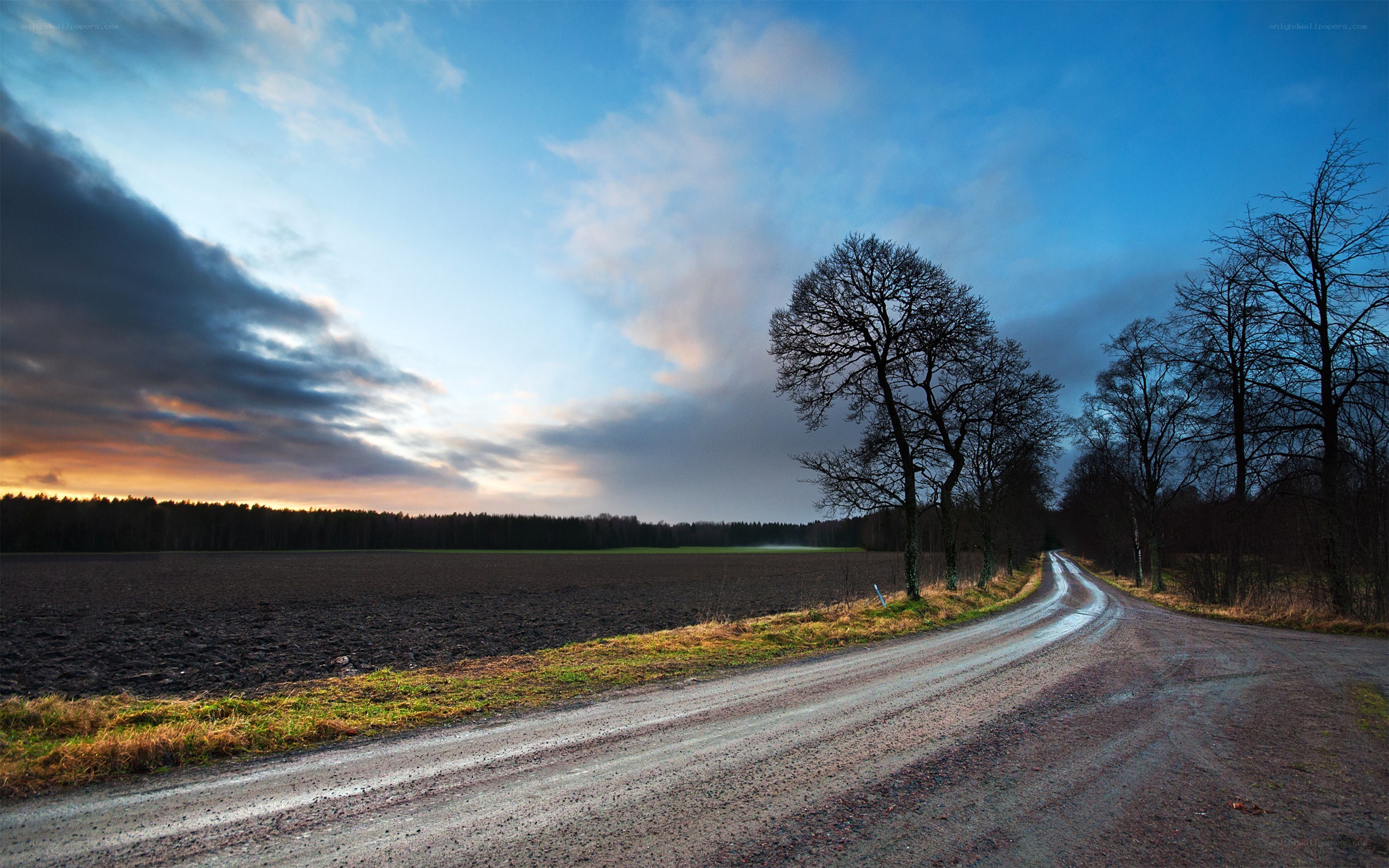 Dirt road at dusk