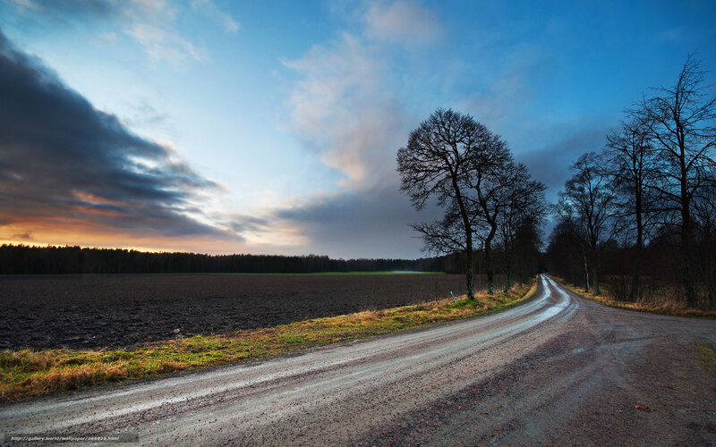 Dirt road at dusk