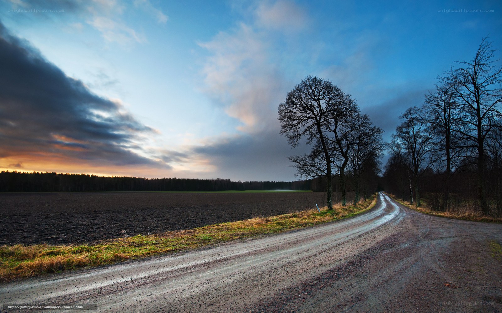 Dirt road at dusk