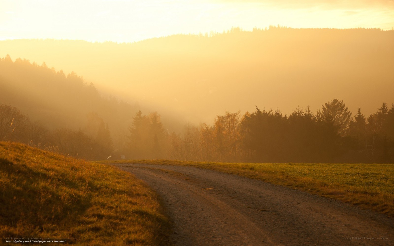 Dirt road at golden hour