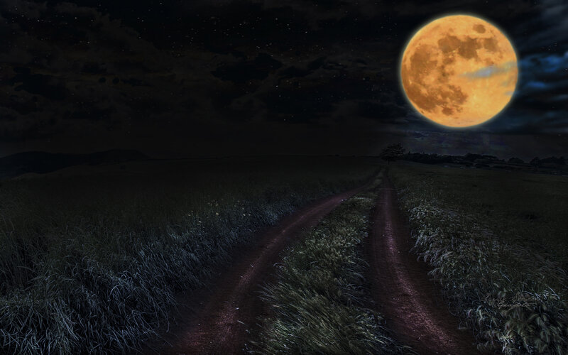 Dirt Road at Night — Black