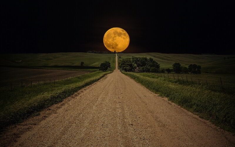 Dirt Road at Night — Brown