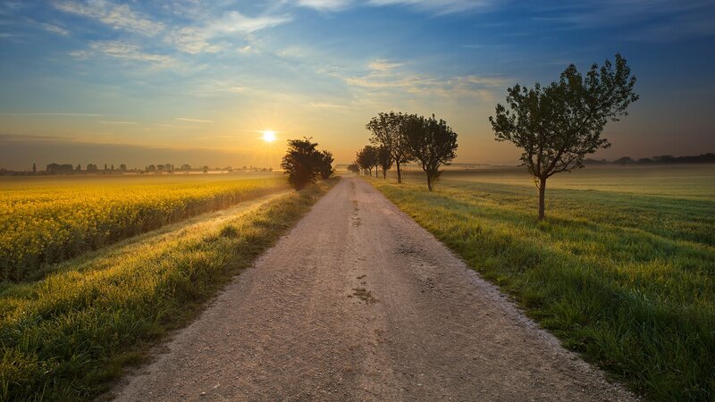 Dirt Road at Sunrise — Blue