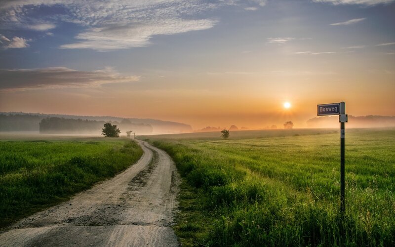 Dirt Road at Sunrise — Green