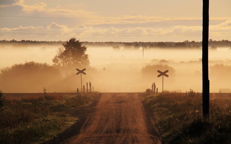 Dirt road at sunrise in fog