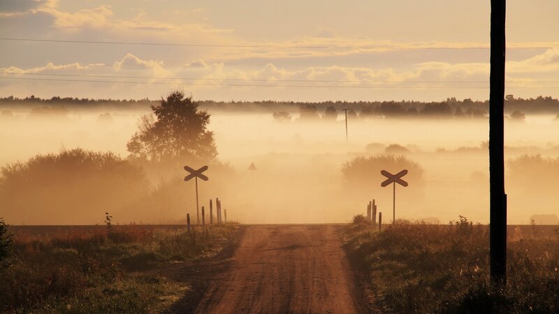 Dirt road at sunrise in fog